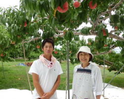 ���i�C���[�W